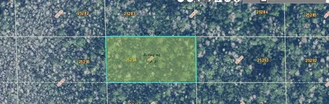 Dill Road Orlando FL 32820