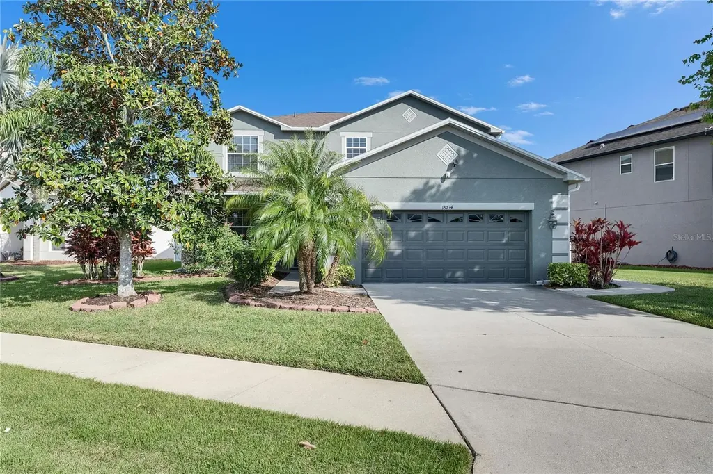 18734 Burndall Court Land O Lakes FL 34638