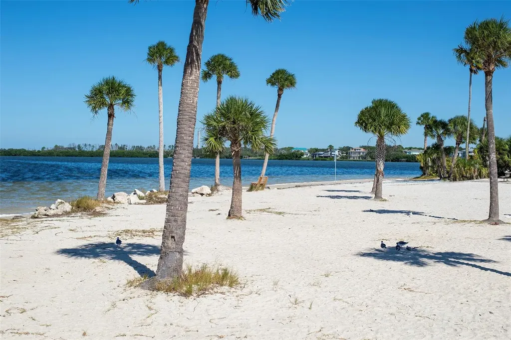305 Tarpon Point Tarpon Springs FL 34689