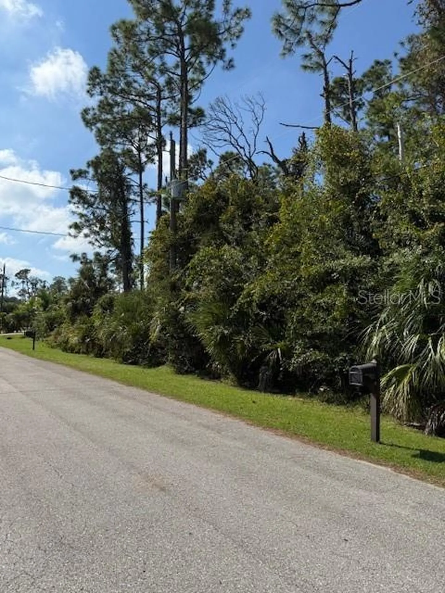 Pincushion Street North Port FL 34286