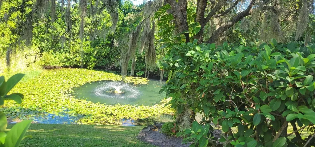 1004 Old Mill Pond Road Palm Harbor FL 34683