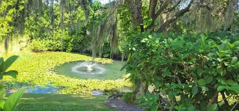 1004 Old Mill Pond Road Palm Harbor FL 34683