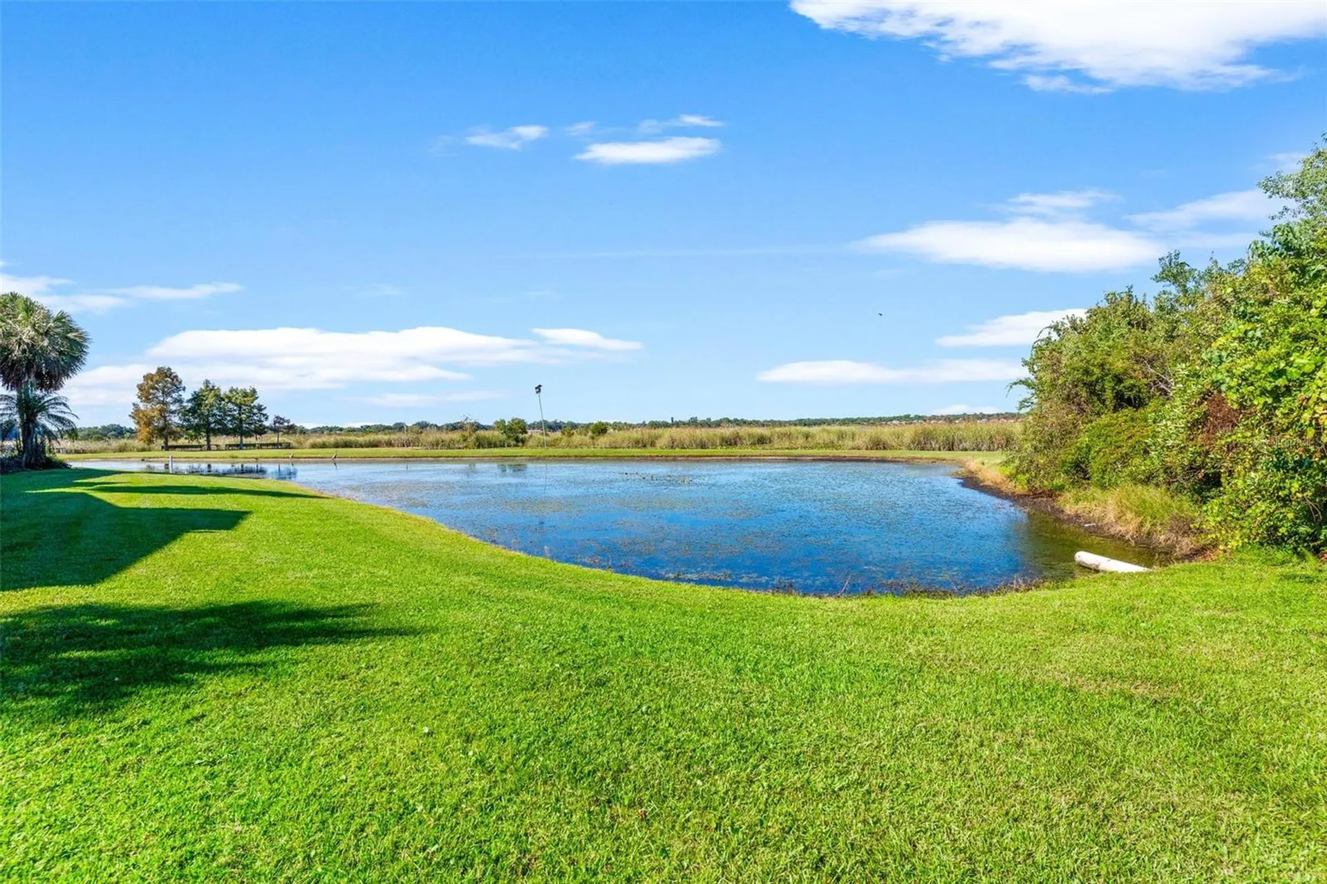 4300 Baywood Boulevard Mount Dora FL 32757