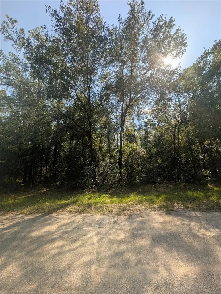 10484 N Holcomb Drive Citrus Springs FL 34434