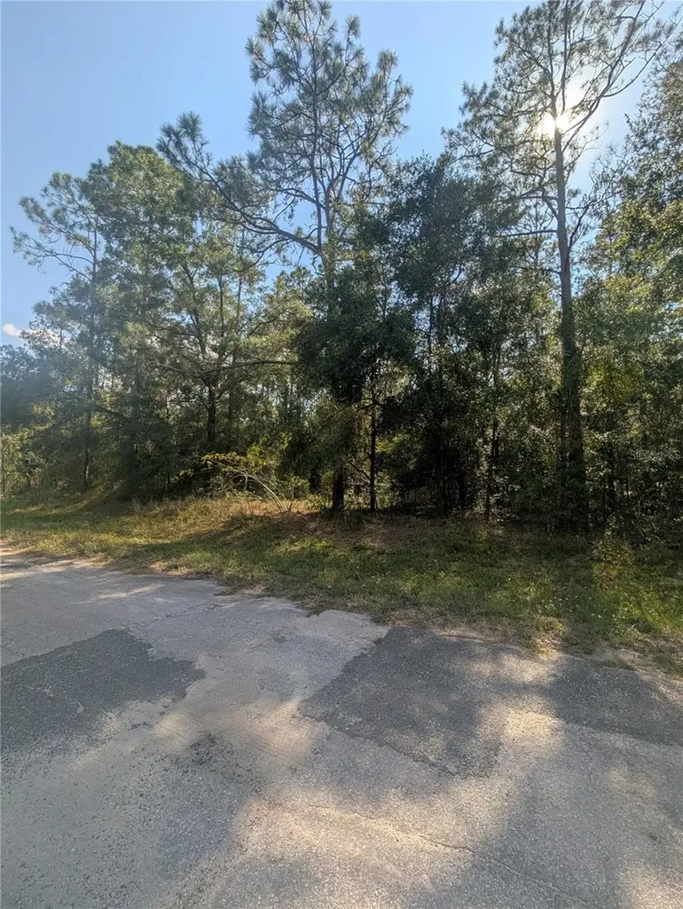 10484 N Holcomb Drive Citrus Springs FL 34434