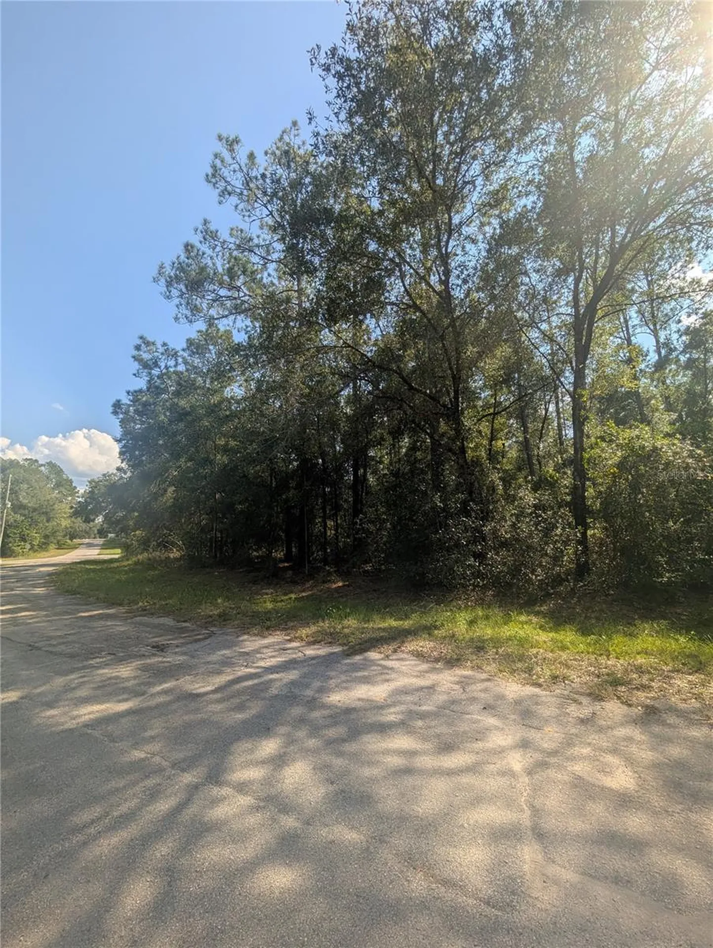 10484 N Holcomb Drive Citrus Springs FL 34434