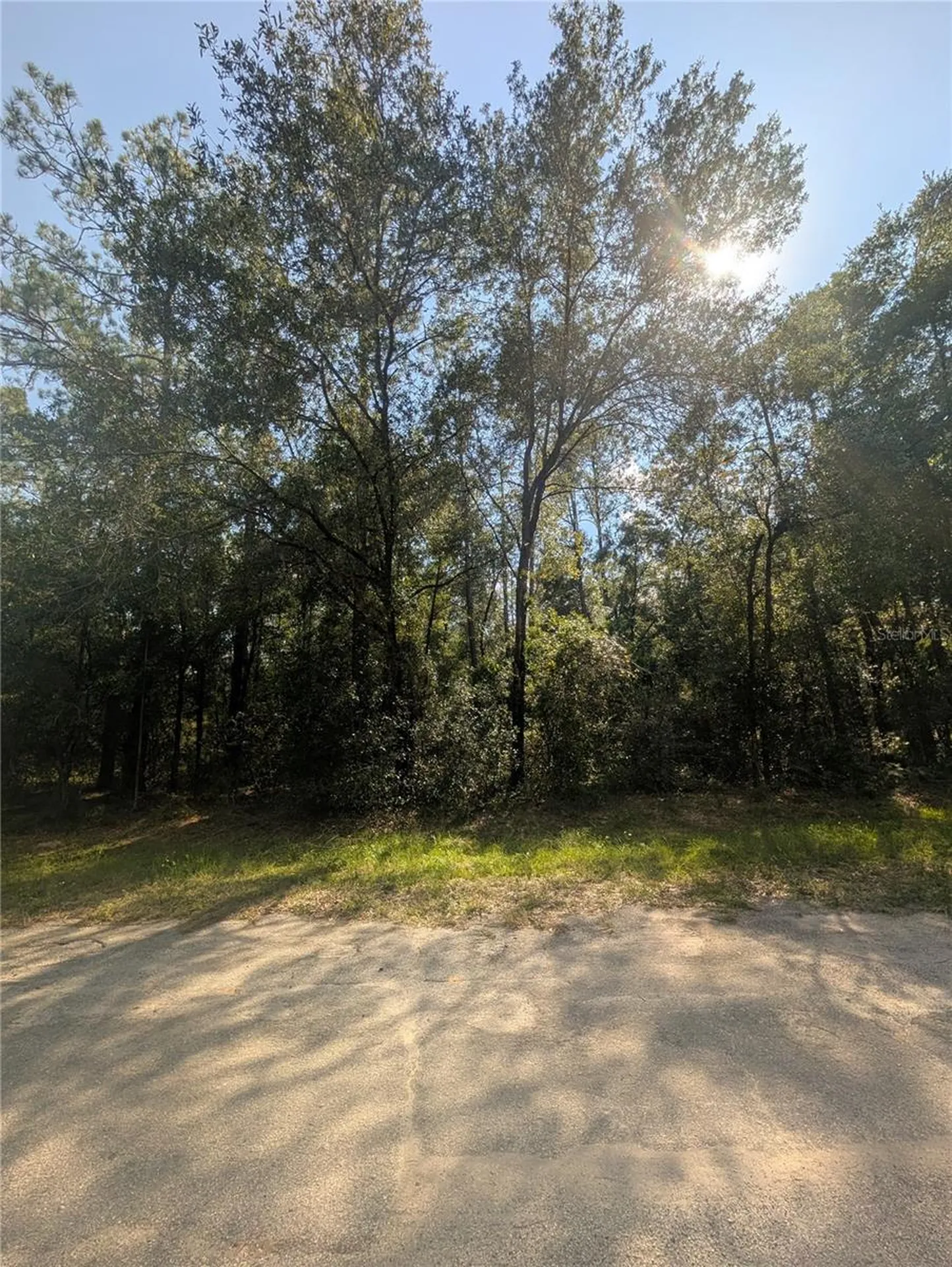 10484 N Holcomb Drive Citrus Springs FL 34434