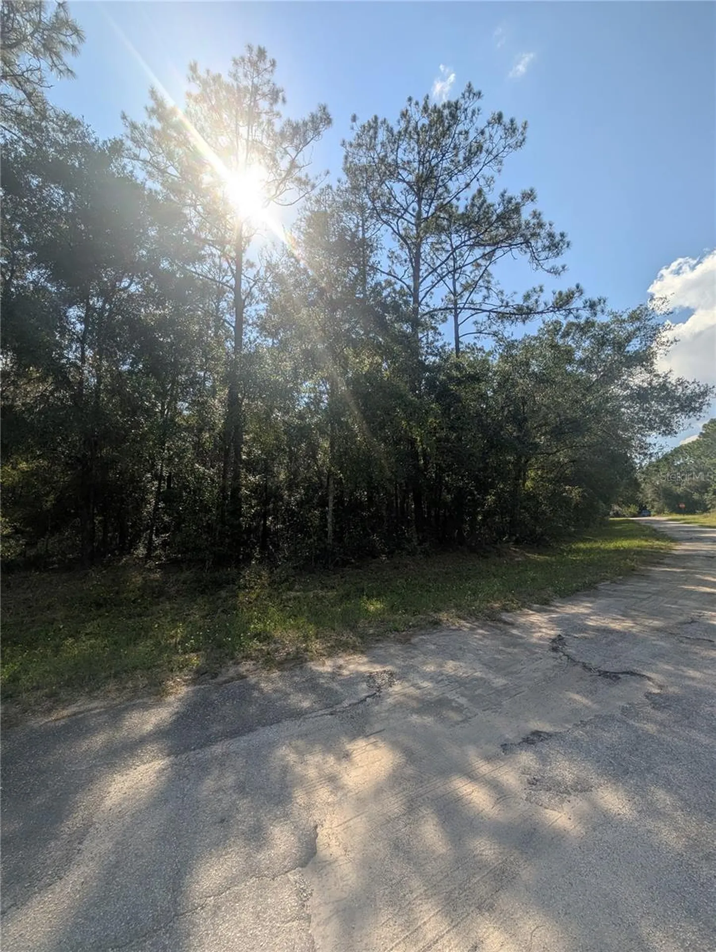 10484 N Holcomb Drive Citrus Springs FL 34434