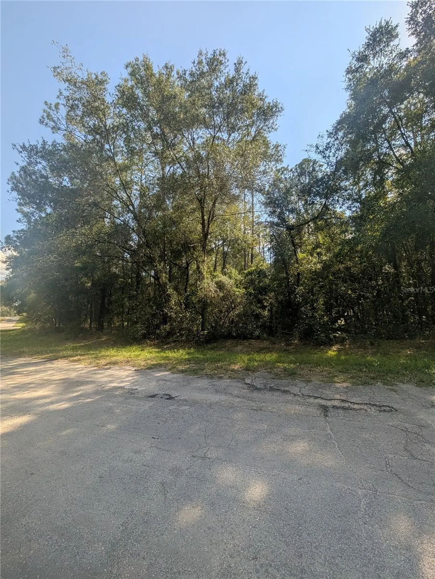 10484 N Holcomb Drive Citrus Springs FL 34434