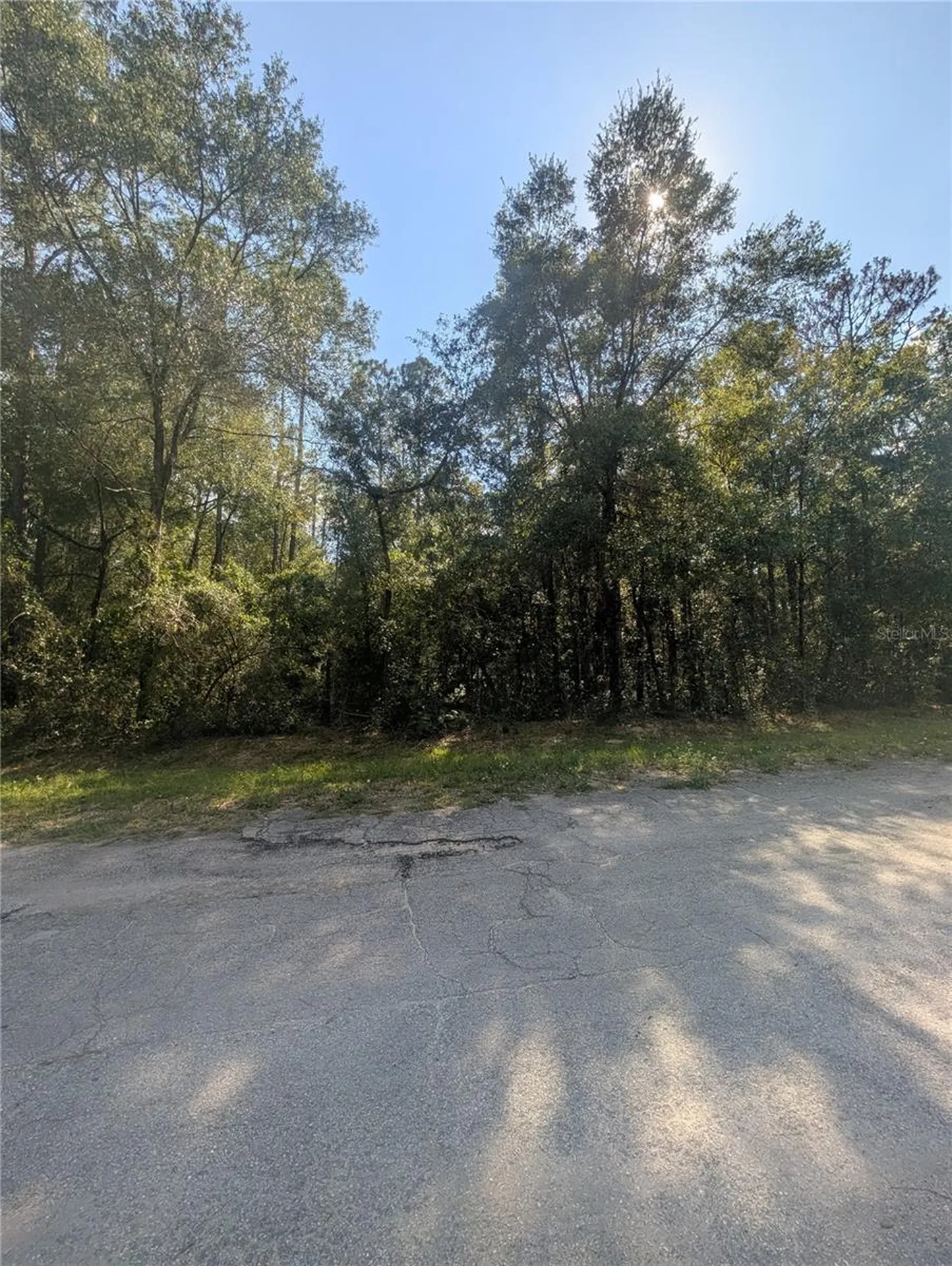 10484 N Holcomb Drive Citrus Springs FL 34434
