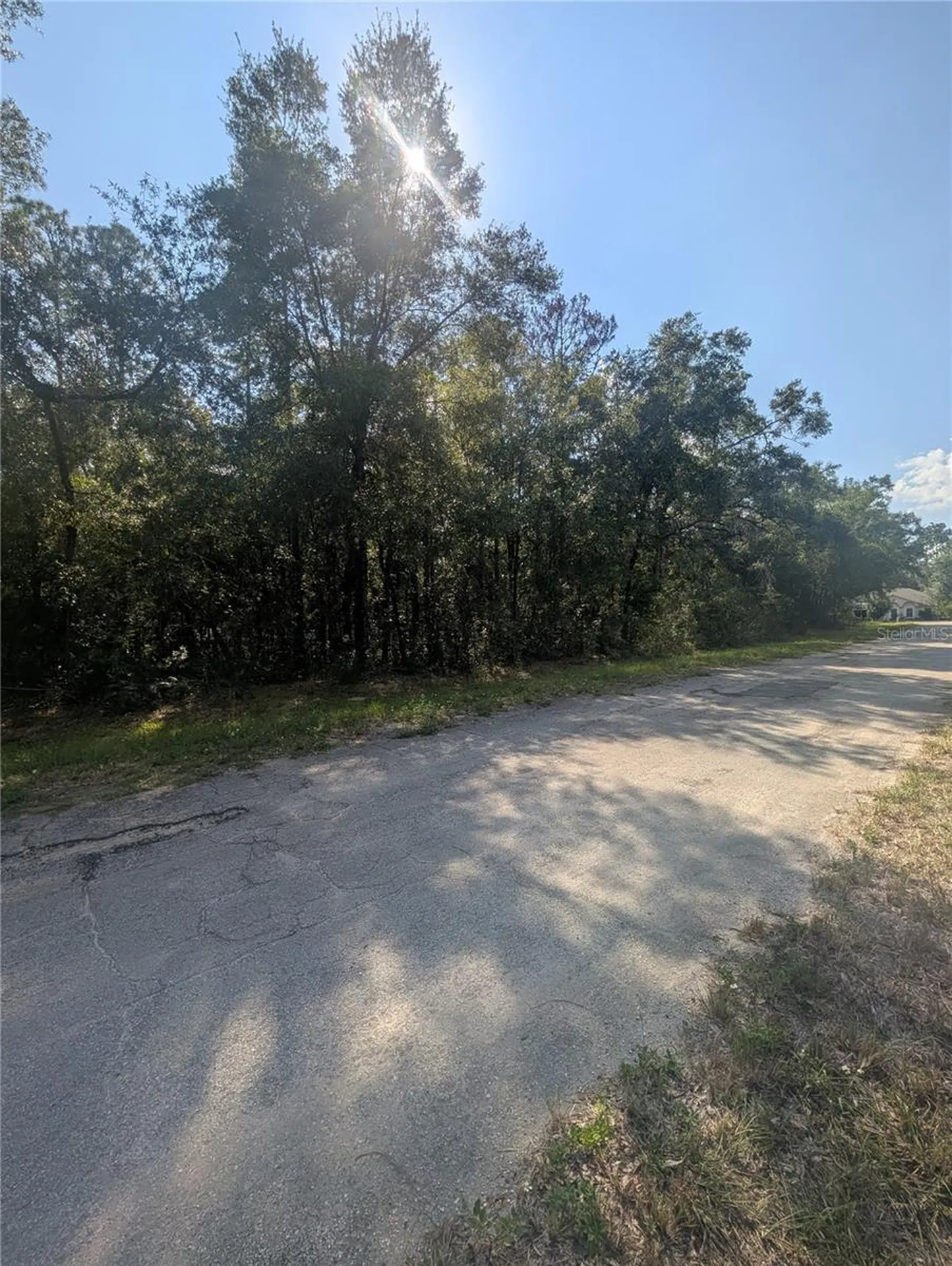 10484 N Holcomb Drive Citrus Springs FL 34434