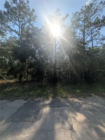 10484 N Holcomb Drive Citrus Springs FL 34434