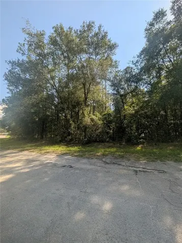 10484 N Holcomb Drive Citrus Springs FL 34434