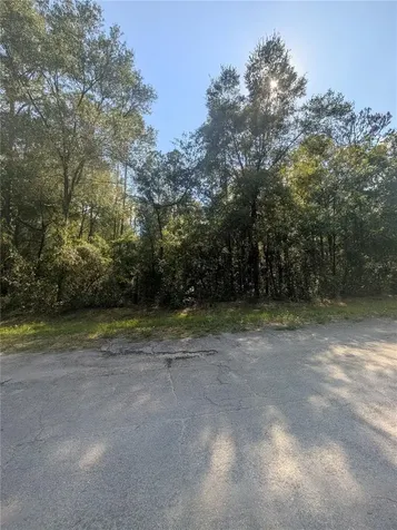 10484 N Holcomb Drive Citrus Springs FL 34434
