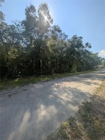 10484 N Holcomb Drive Citrus Springs FL 34434