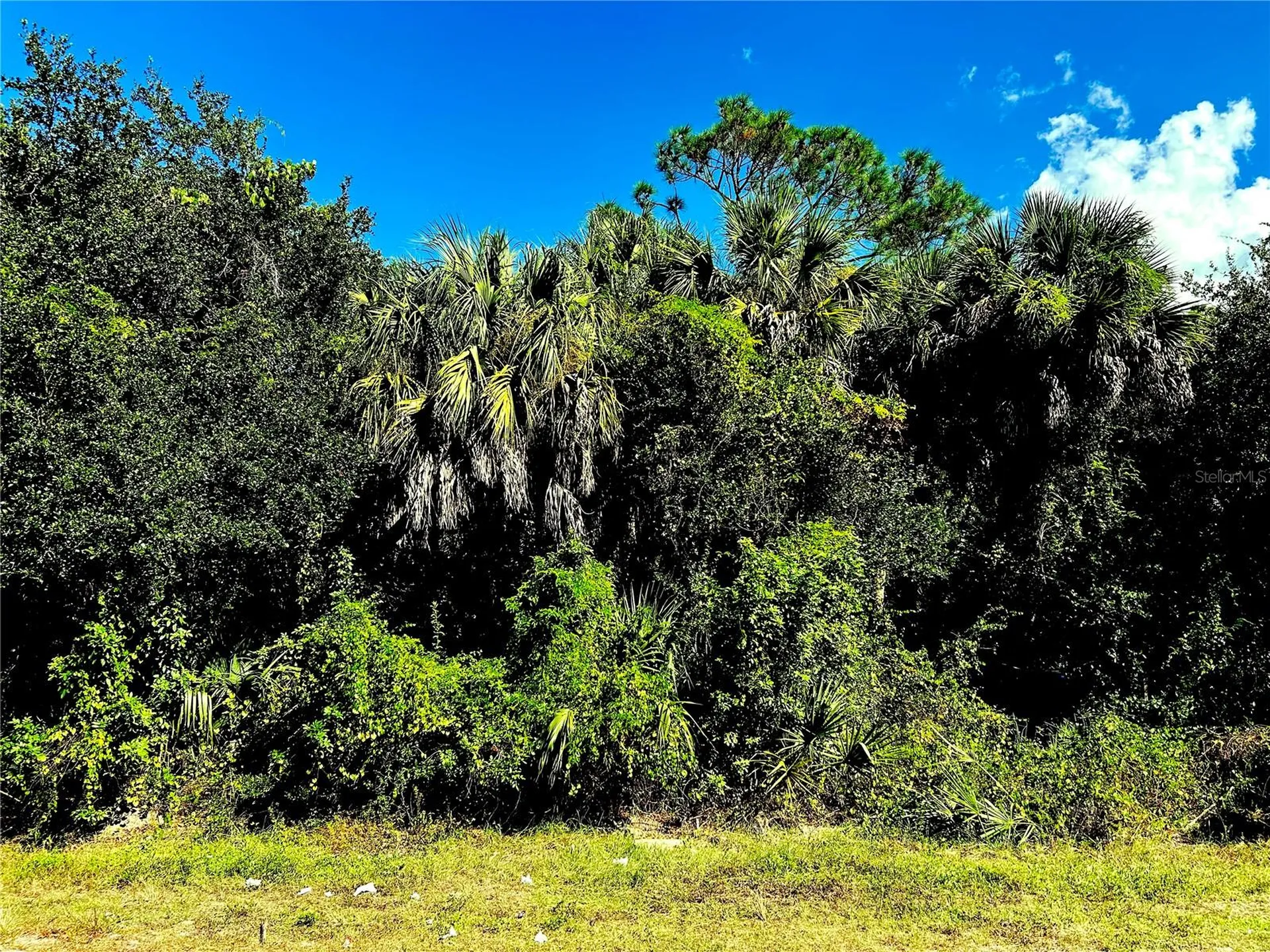 1428 Kenesaw Street Port Charlotte FL 33948
