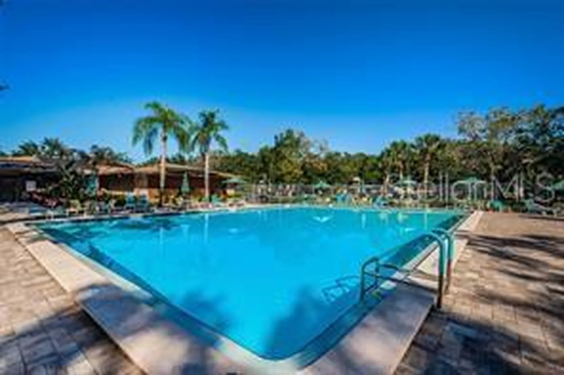 3300 Fox Chase Circle N Palm Harbor FL 34683