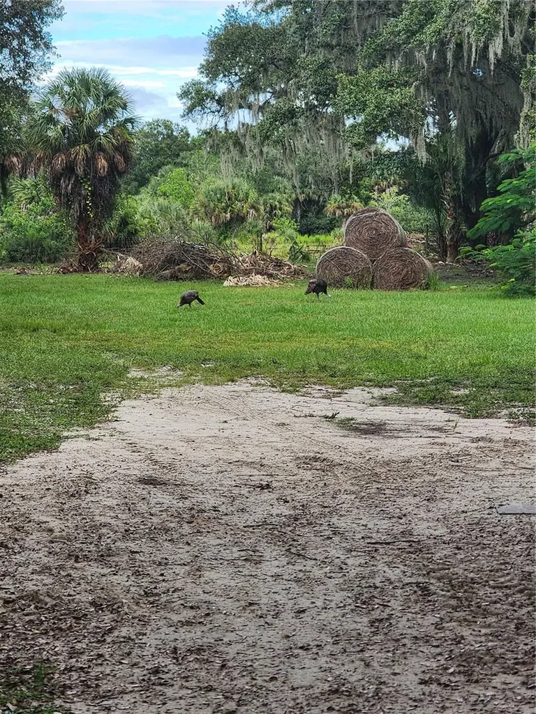 3945 County Road 833 Clewiston FL 33440