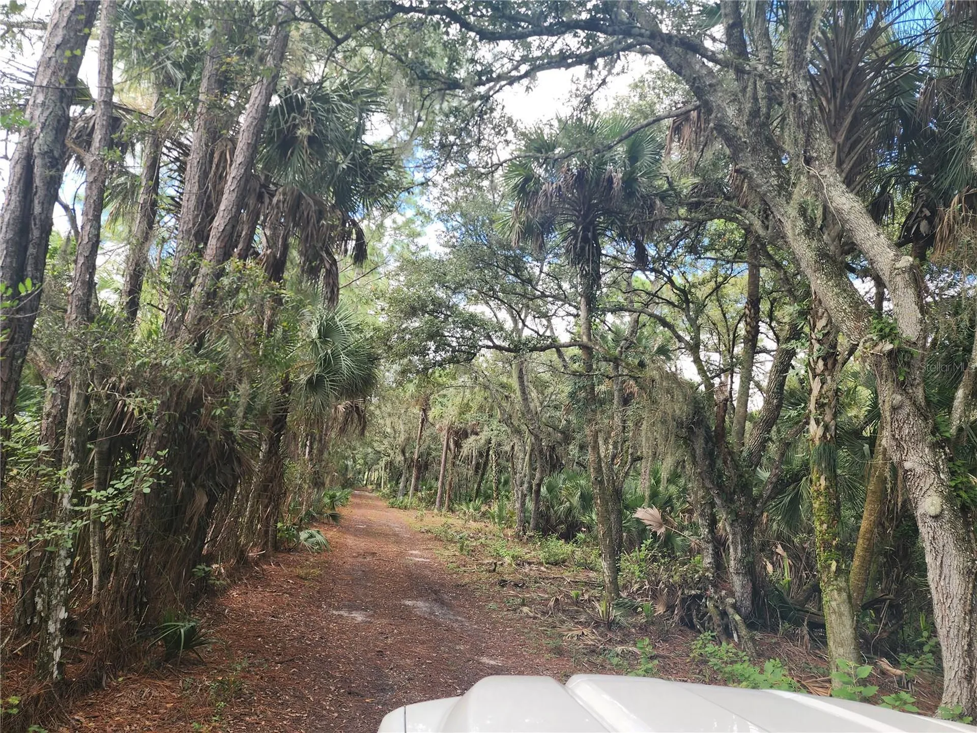 3945 County Road 833 Clewiston FL 33440