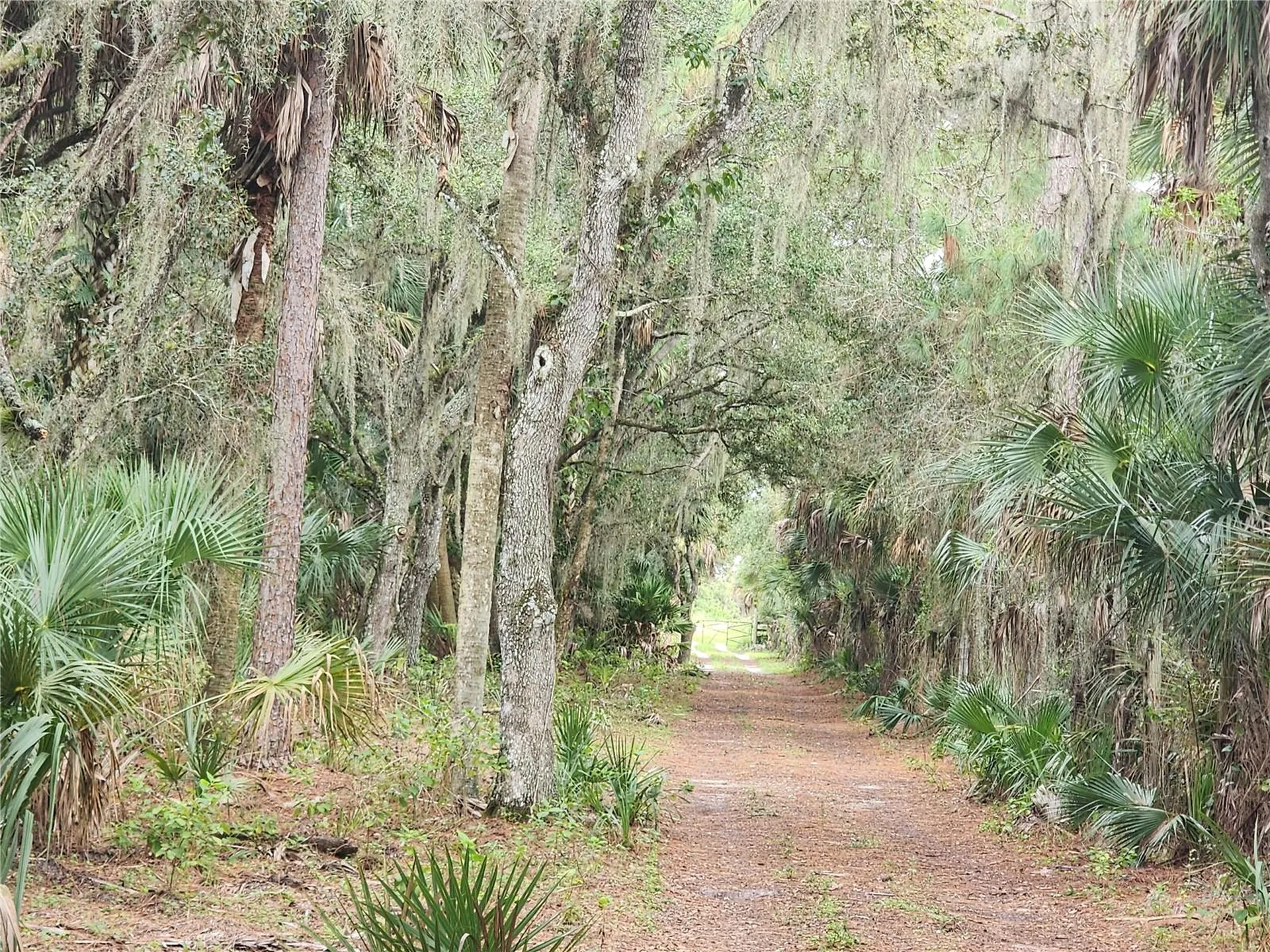 3945 County Road 833 Clewiston FL 33440