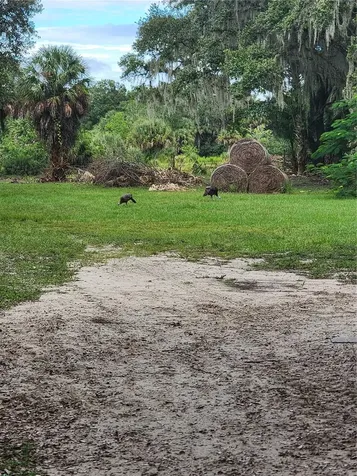 3945 County Road 833 Clewiston FL 33440