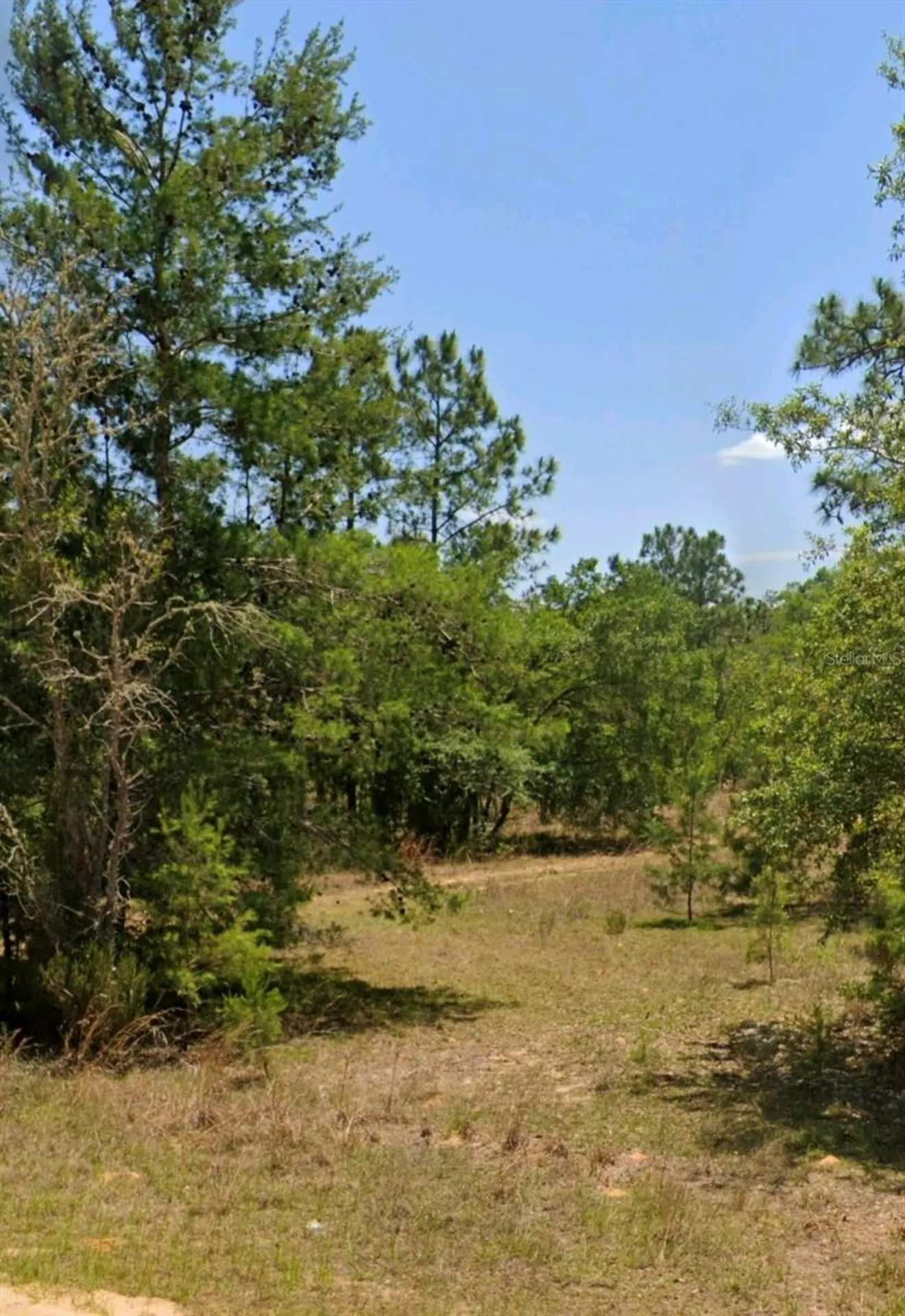 Lot 14 15 16 And 17 Idaho Avenue Hawthorne FL 32640