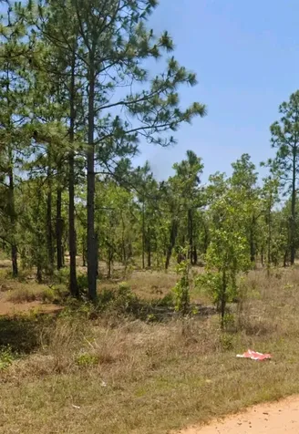 Lot 14 15 16 And 17 Idaho Avenue Hawthorne FL 32640