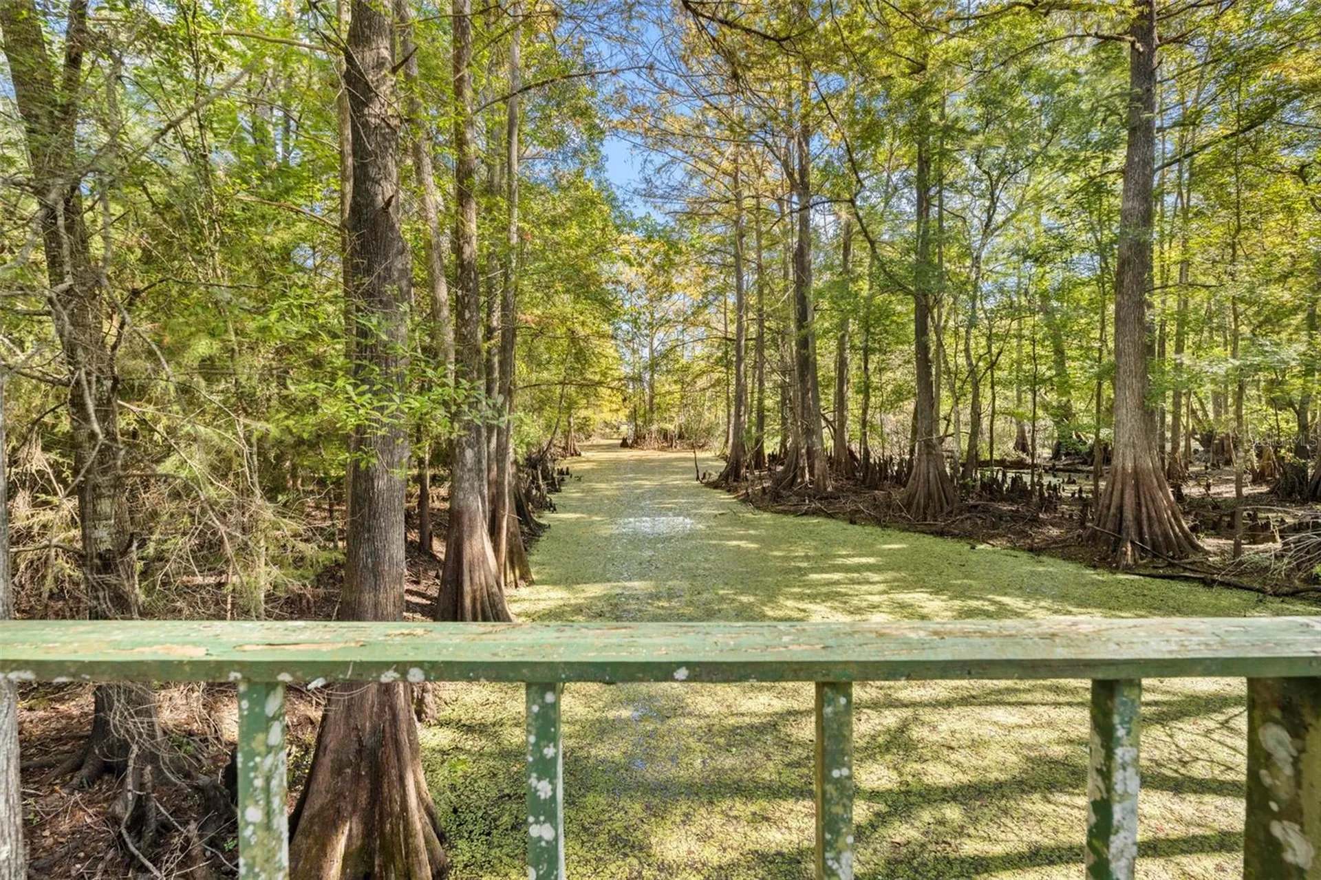 10750 E Sybil Court Floral City FL 34436