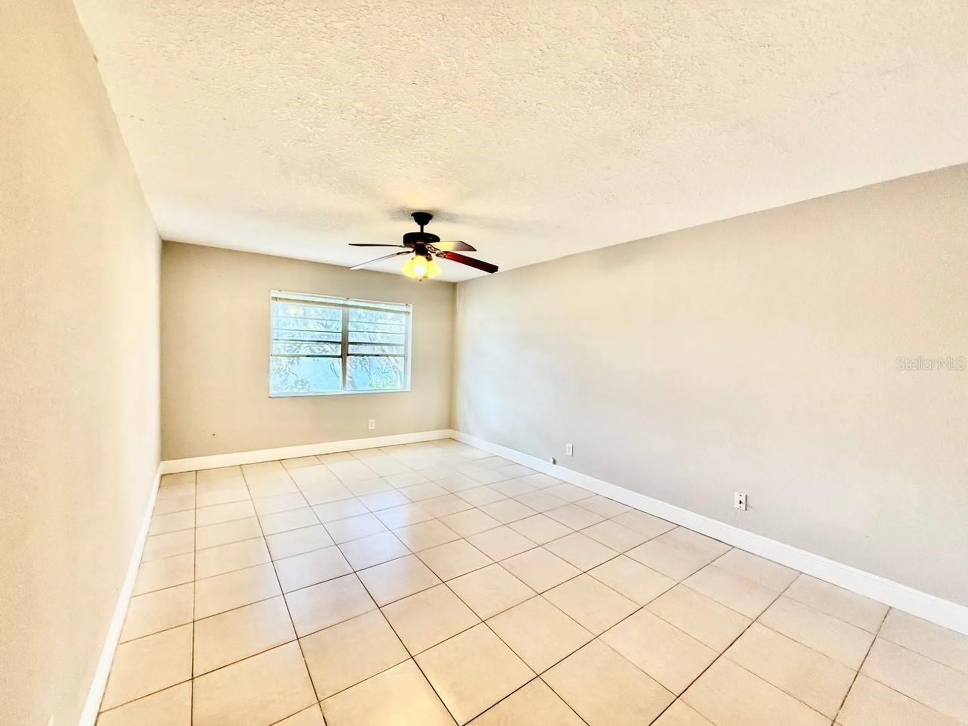 7156 E Bank Drive Tampa FL 33617