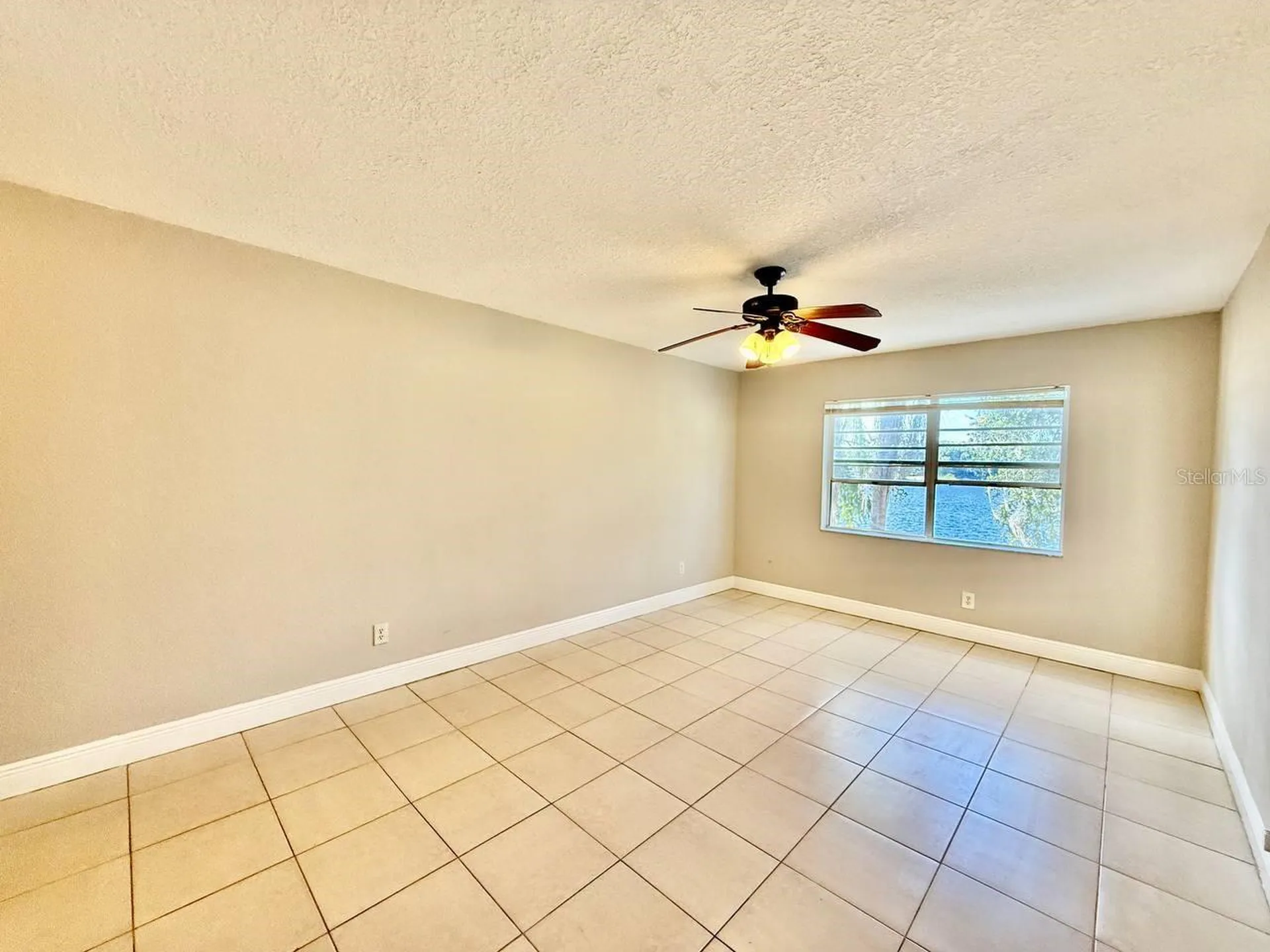 7156 E Bank Drive Tampa FL 33617