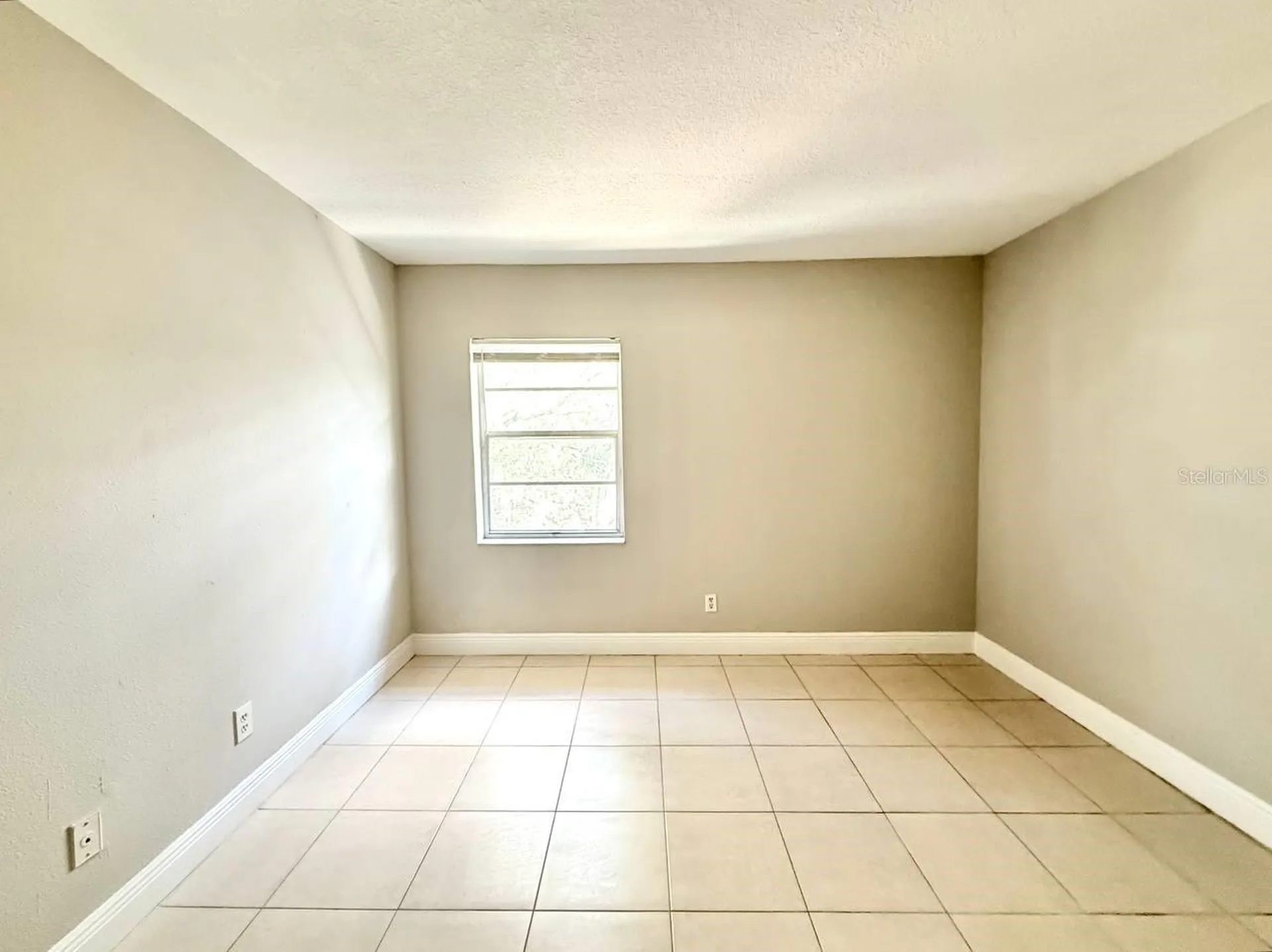 7156 E Bank Drive Tampa FL 33617