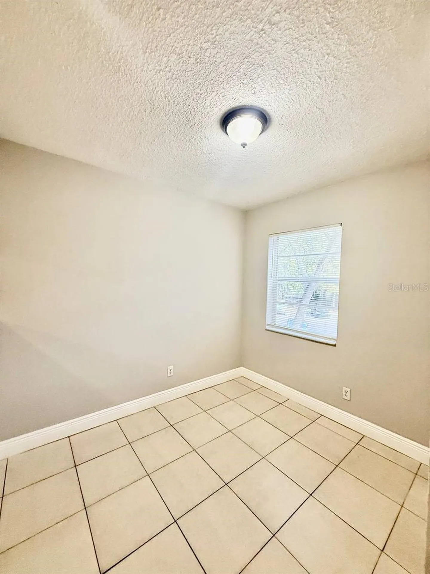 7156 E Bank Drive Tampa FL 33617