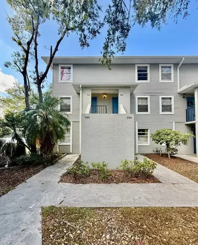 7156 E Bank Drive Tampa FL 33617