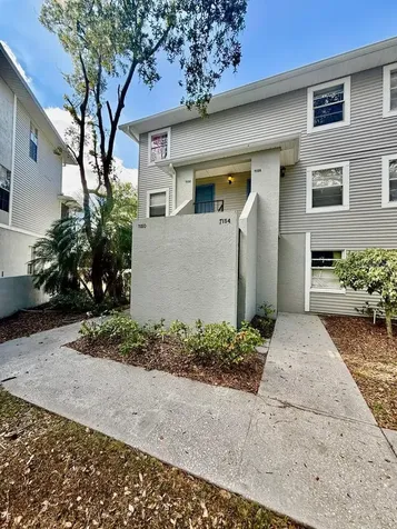 7156 E Bank Drive Tampa FL 33617