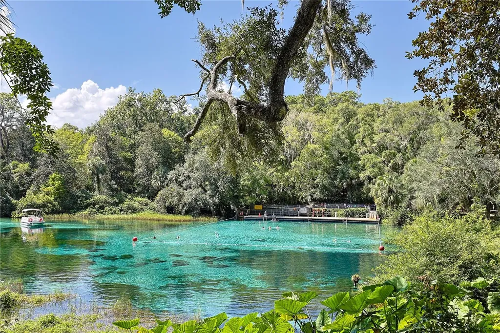 13155 SW 95th Street Dunnellon FL 34432