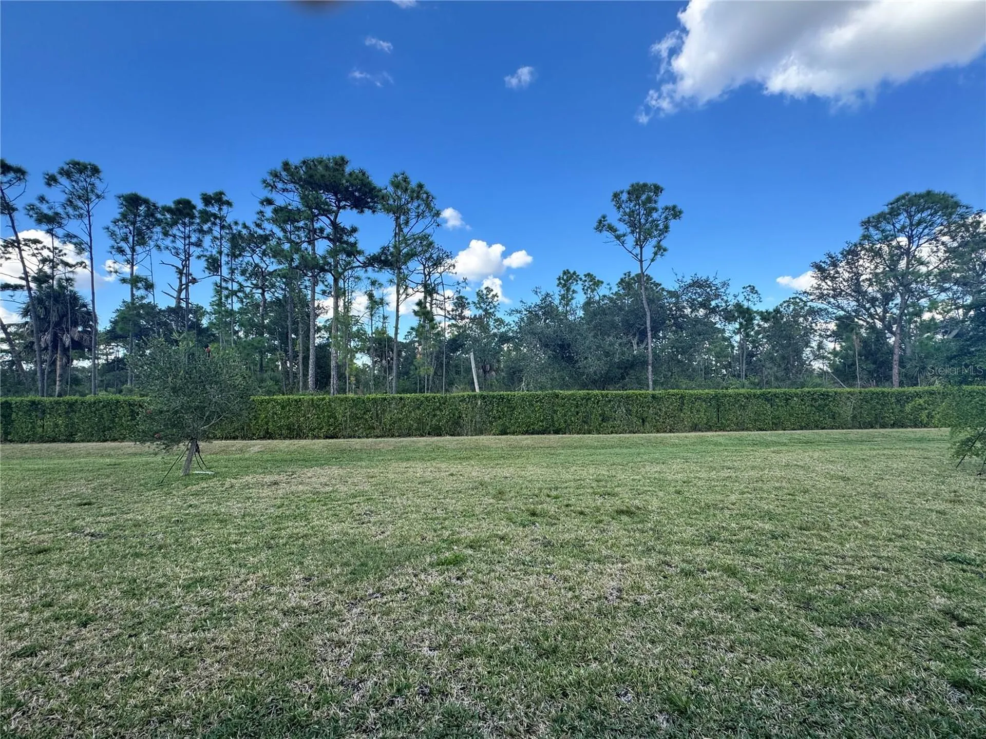 15968 Honeysuckle Street Port Charlotte FL 33953