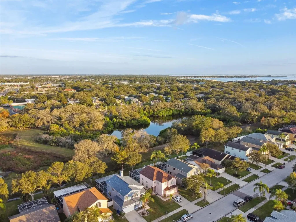 1637 Gray Bark Drive Oldsmar FL 34677
