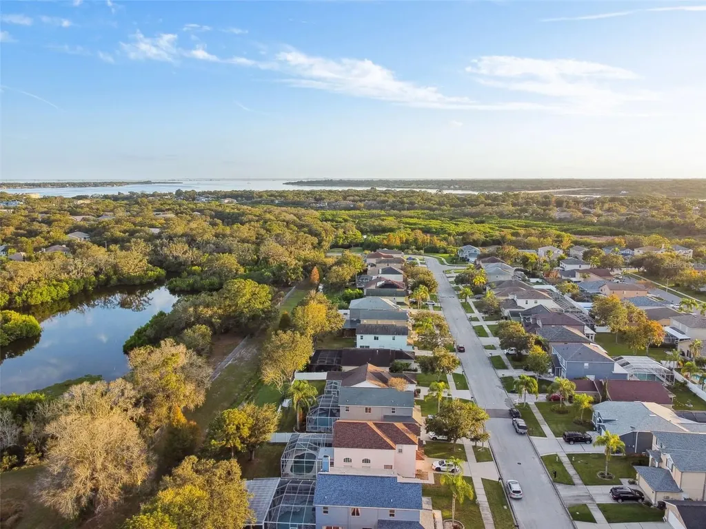 1637 Gray Bark Drive Oldsmar FL 34677