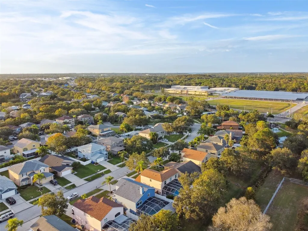 1637 Gray Bark Drive Oldsmar FL 34677