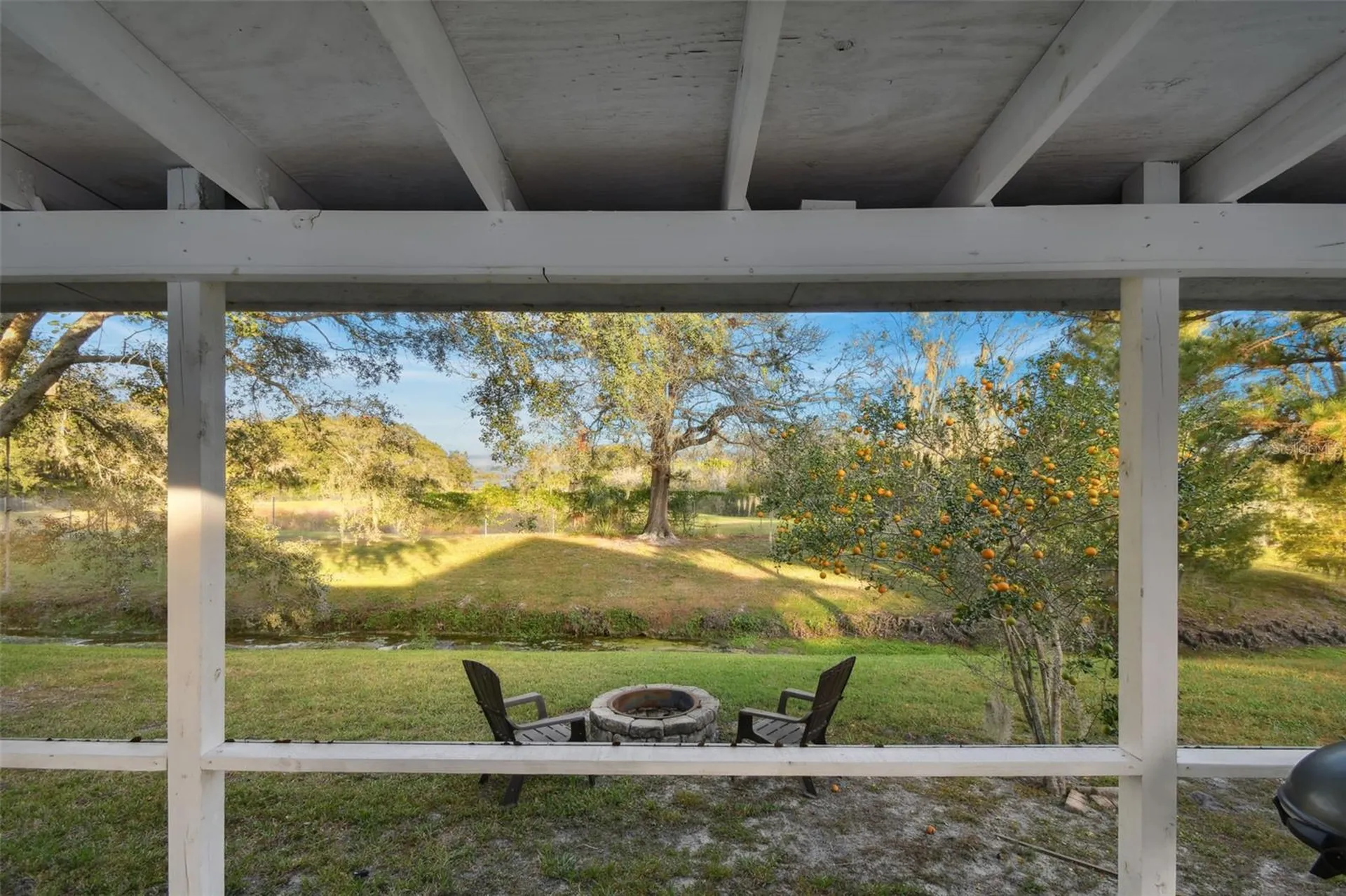 1637 Gray Bark Drive Oldsmar FL 34677
