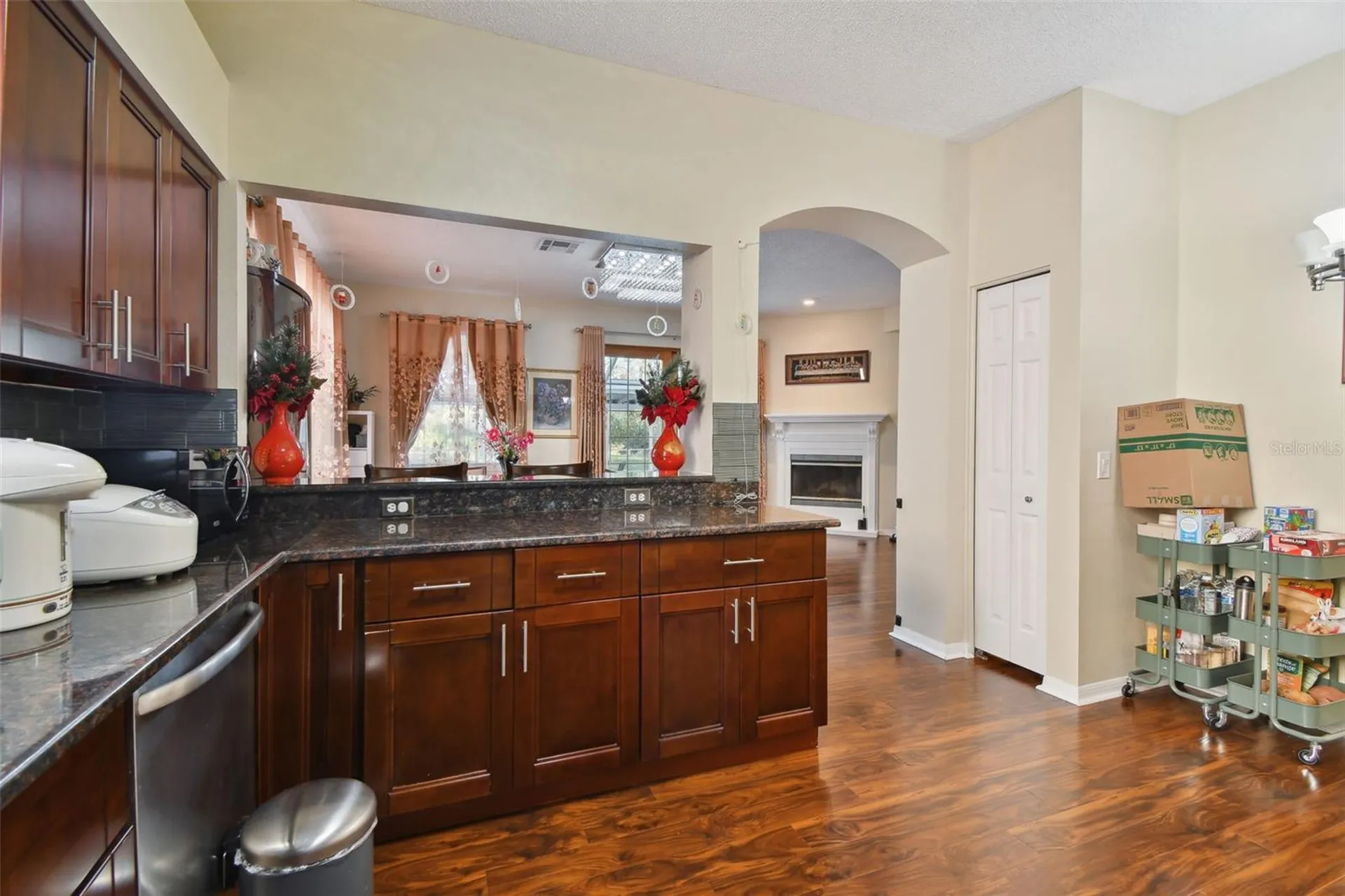 1637 Gray Bark Drive Oldsmar FL 34677