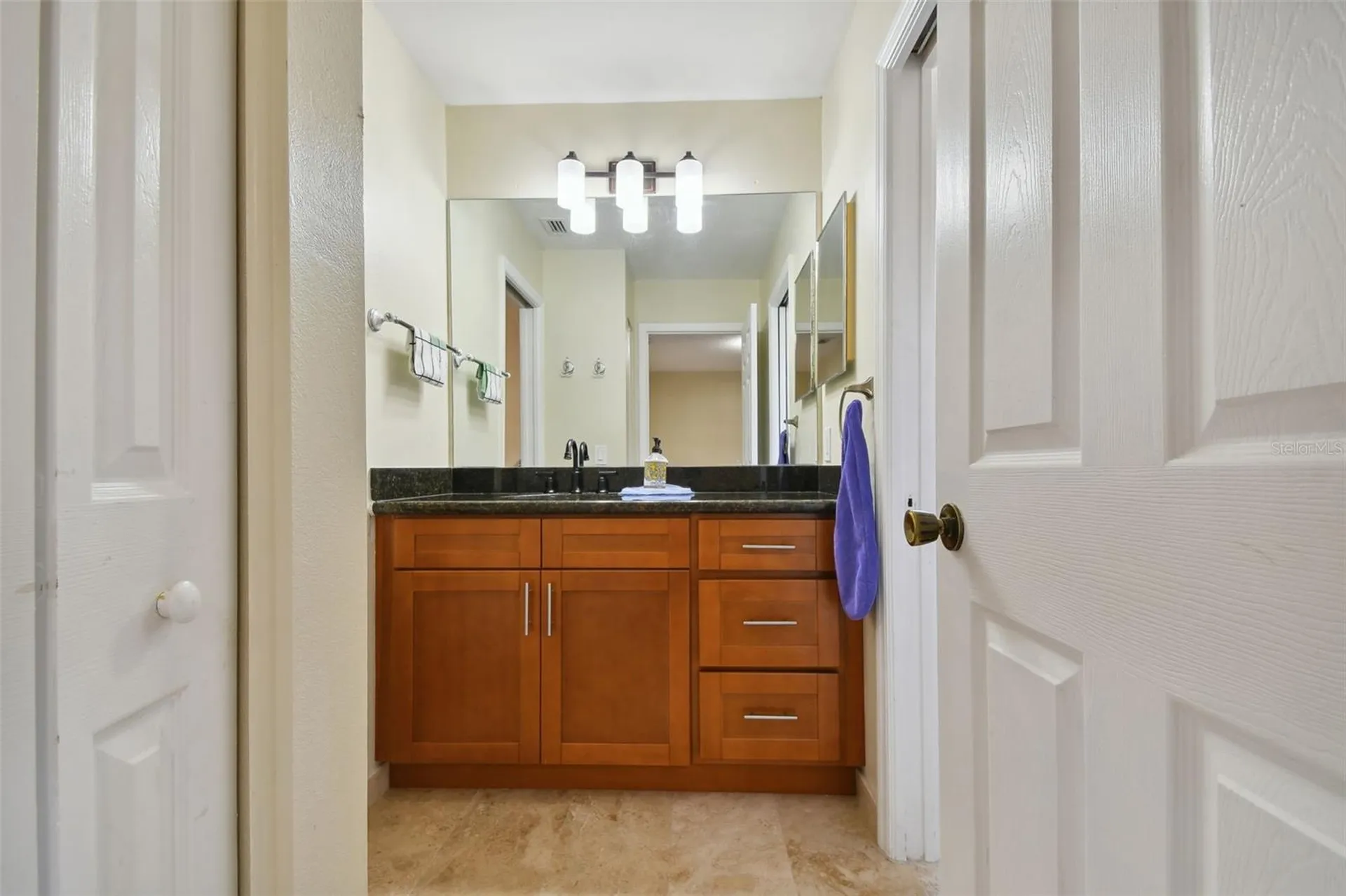 1637 Gray Bark Drive Oldsmar FL 34677
