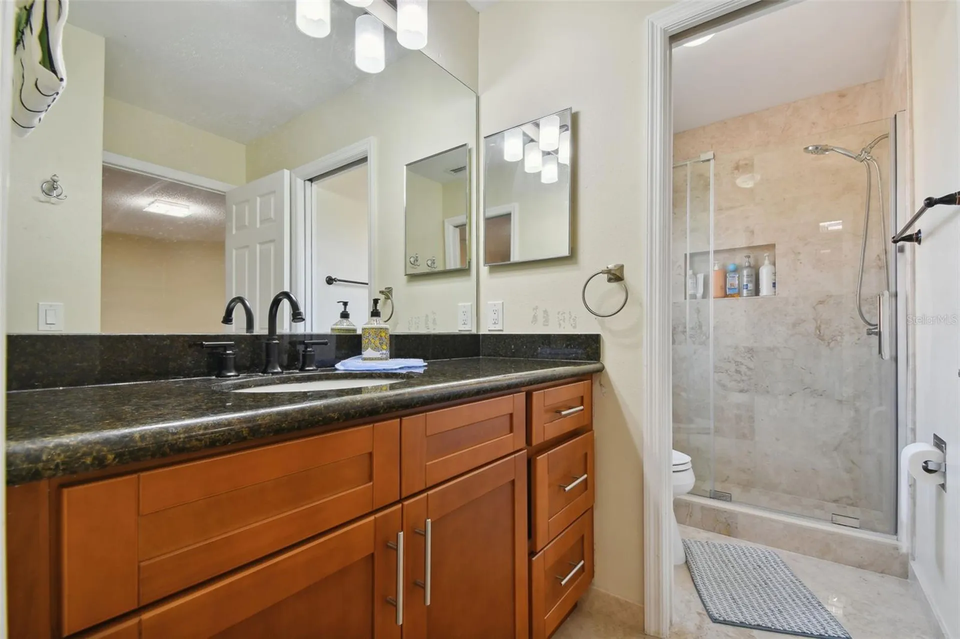 1637 Gray Bark Drive Oldsmar FL 34677