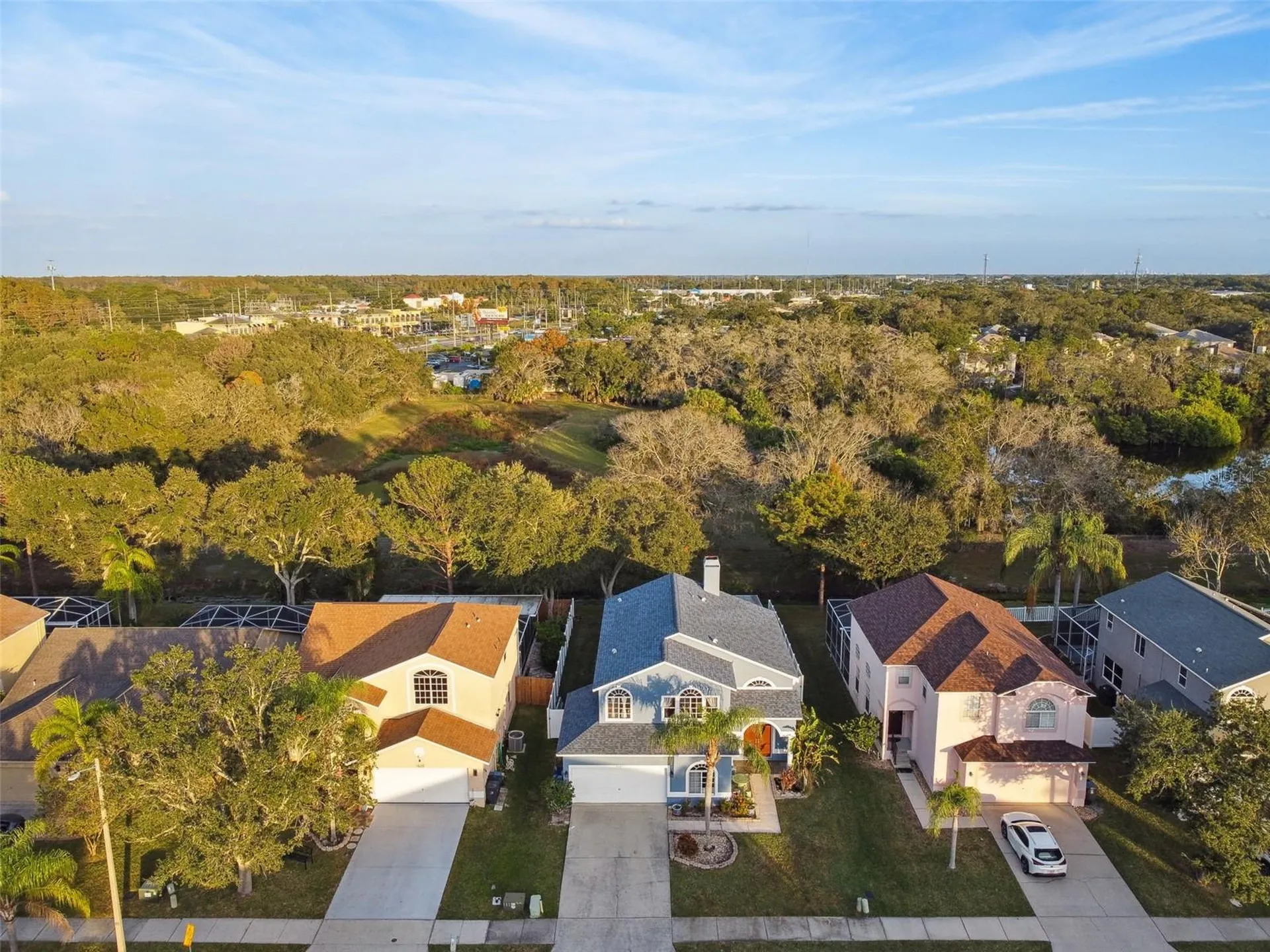 1637 Gray Bark Drive Oldsmar FL 34677