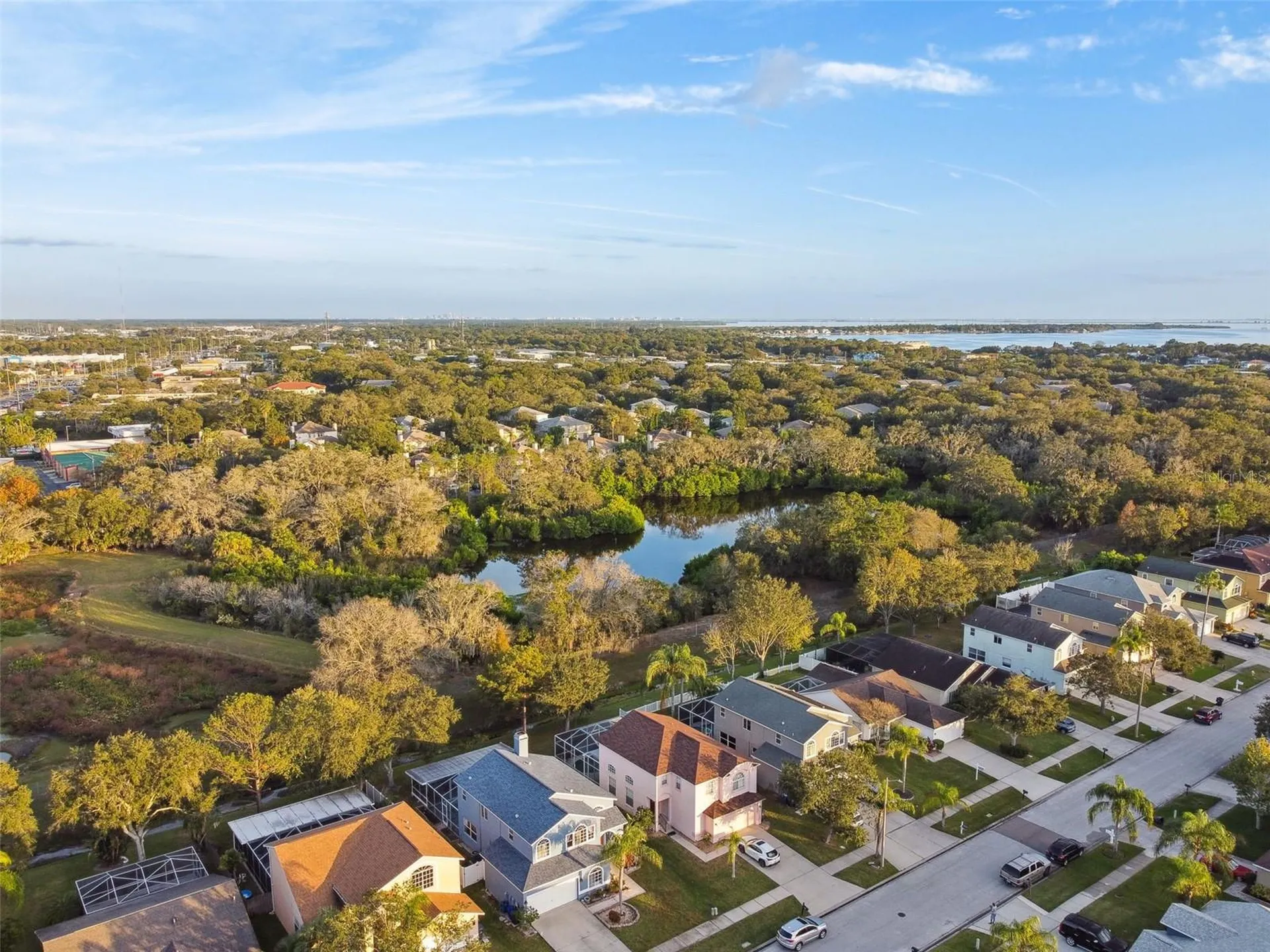 1637 Gray Bark Drive Oldsmar FL 34677