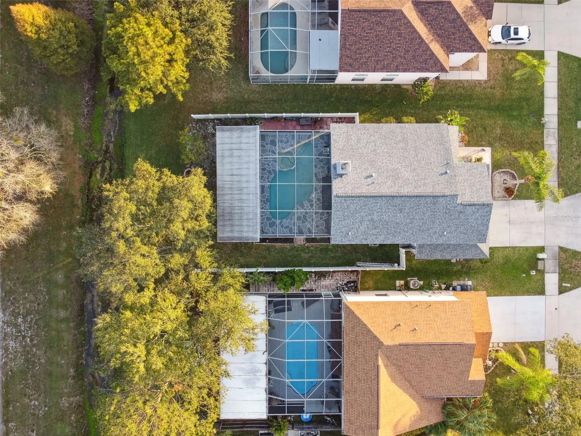 1637 Gray Bark Drive Oldsmar FL 34677