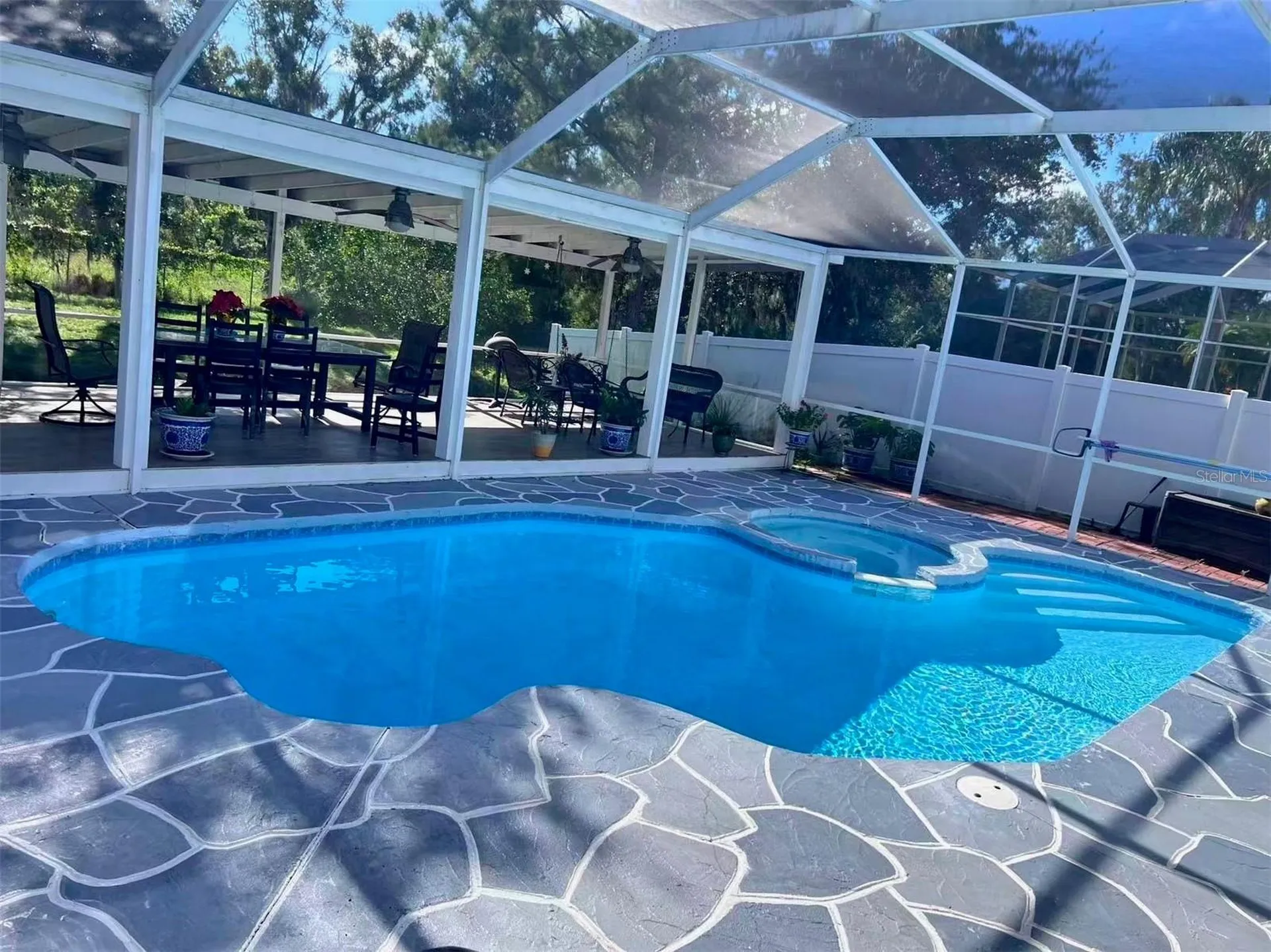 1637 Gray Bark Drive Oldsmar FL 34677