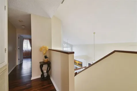 1637 Gray Bark Drive Oldsmar FL 34677