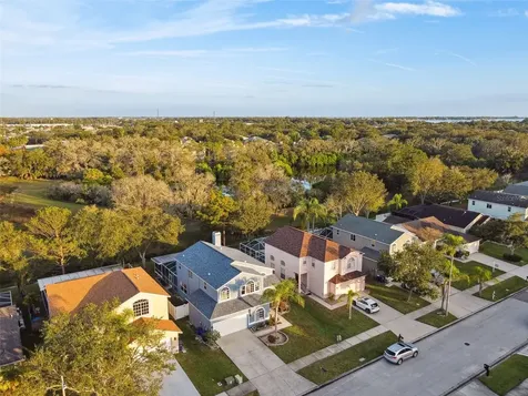 1637 Gray Bark Drive Oldsmar FL 34677