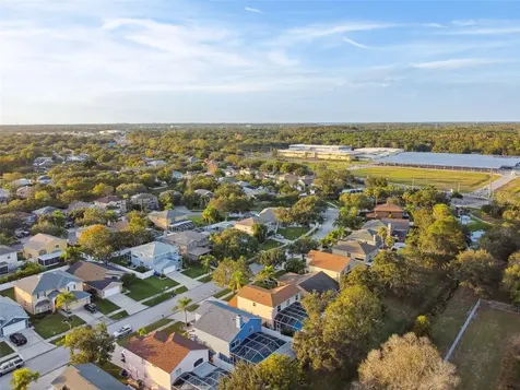 1637 Gray Bark Drive Oldsmar FL 34677